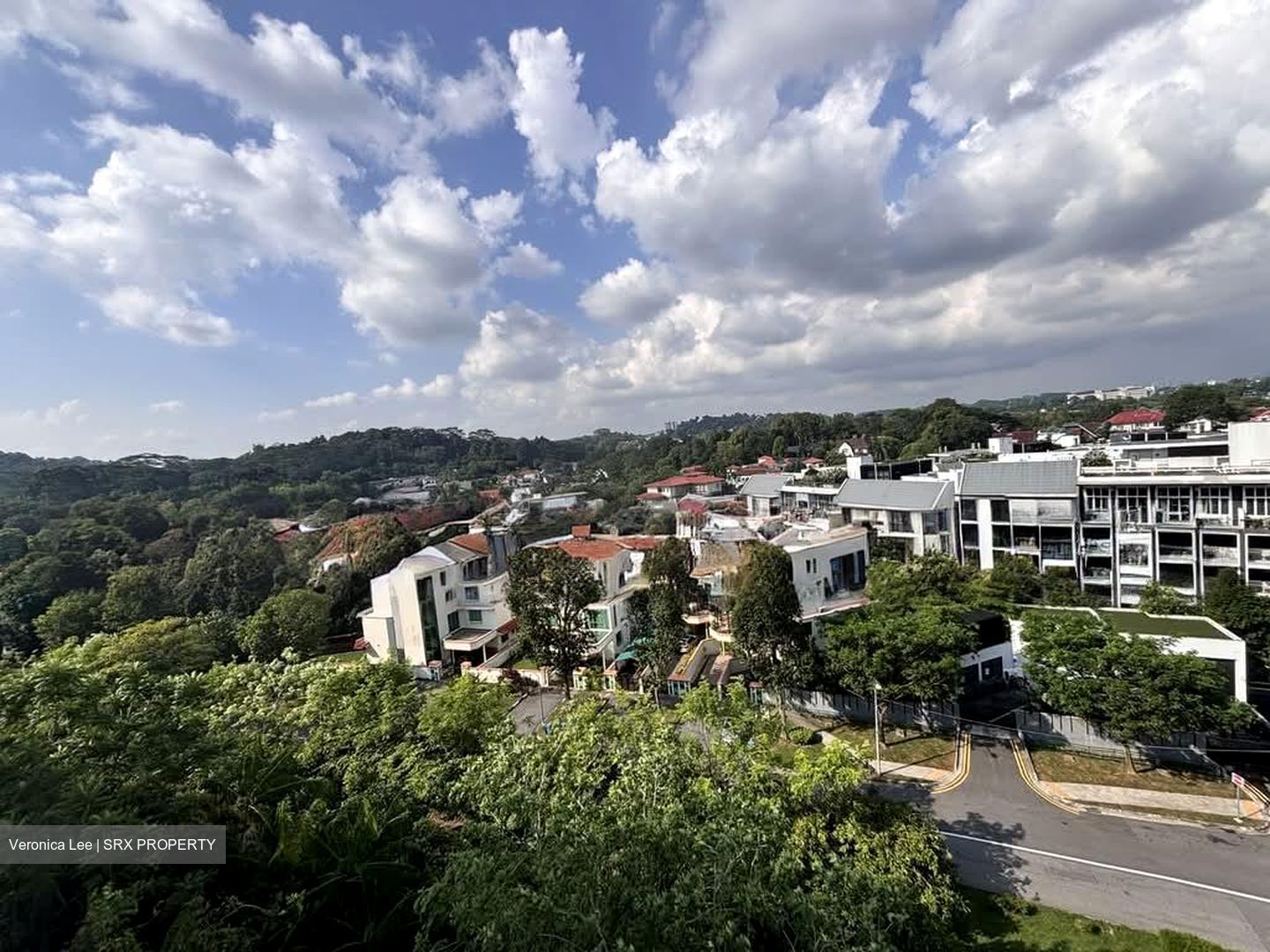 Gardenvista (D21), Condominium #572256601
